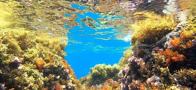 La réserve marine de Cerbère –&nbsp;Banyuls