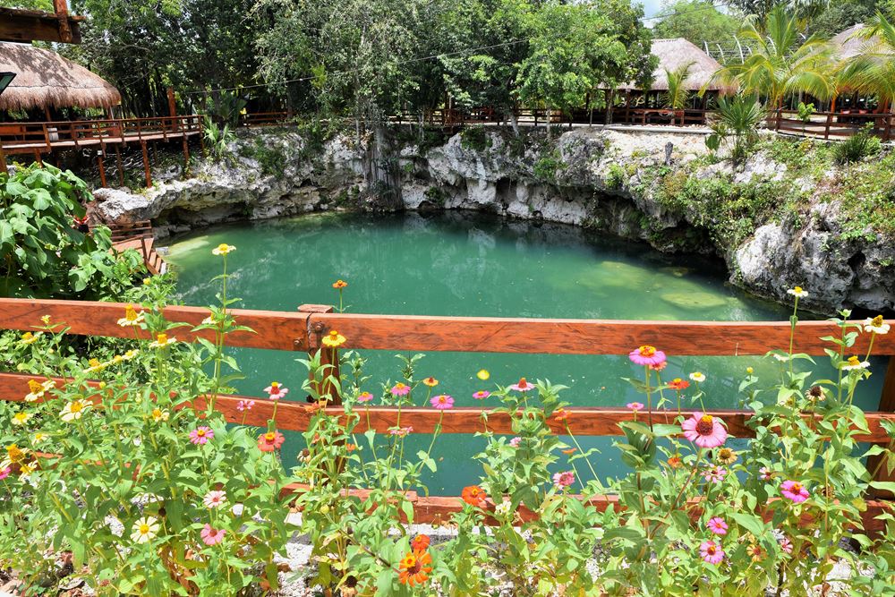 La végétation du cénote Las Piedras