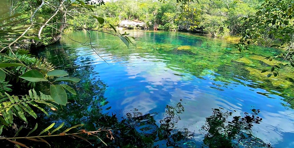 Les eaux limpides du cénote Ponderosa (ou jardin d'Eden)