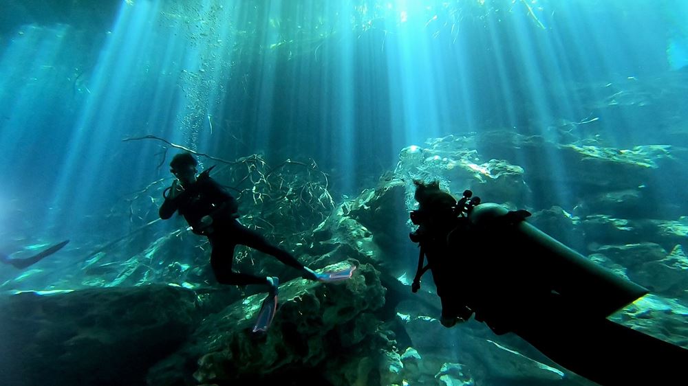 Les jeux de lumière au fond du cénote Ponderosa (jardin d'Eden) en plongée.
