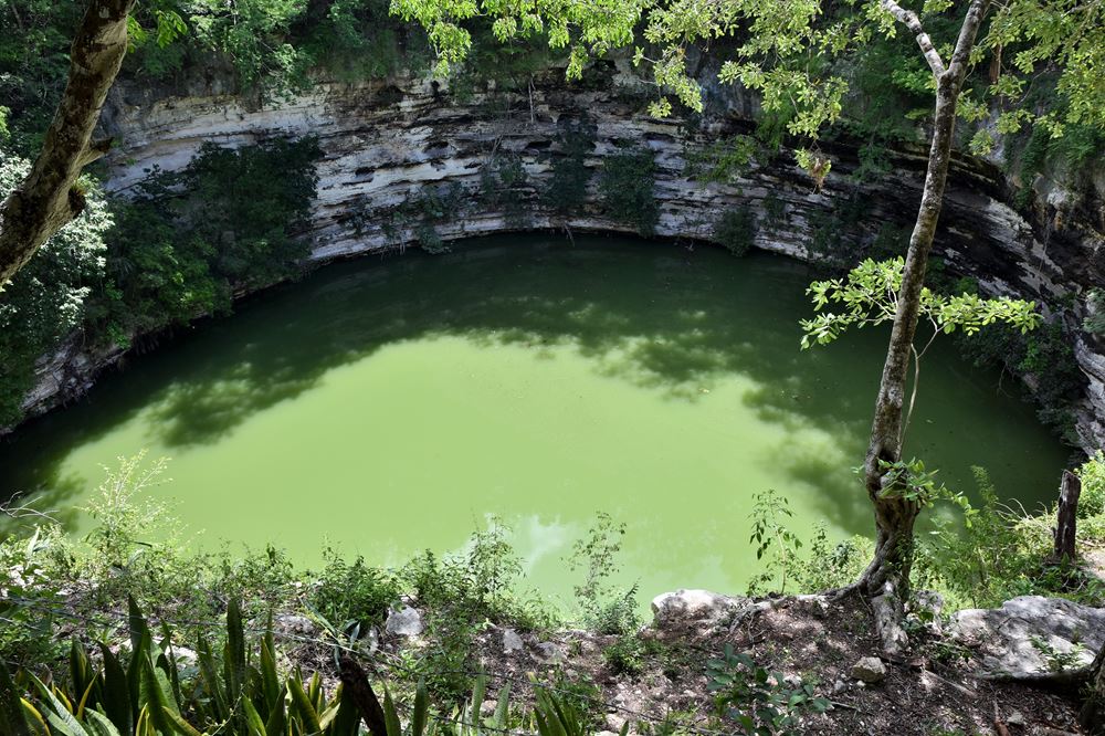 Le cénote Sagrado était un cénote sacré pour les Mayas, qui y pratiquaient entre autres le sacrifice humain.