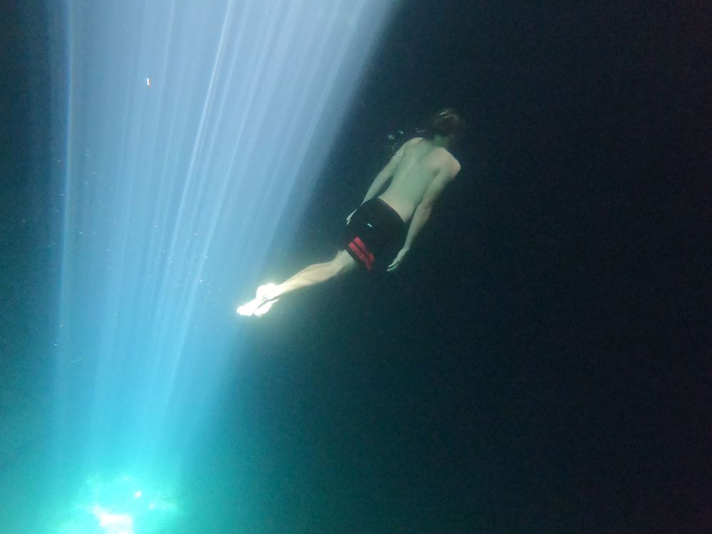 Plongée dans les eaux du cénote X'ux Ha, transpercées par les rayons du soleil.