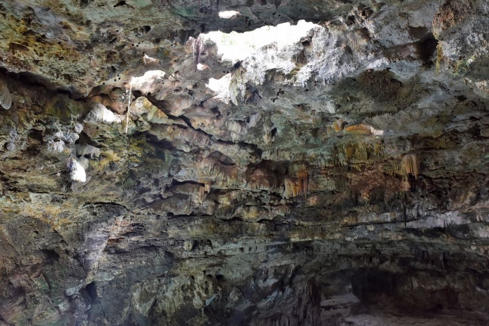 Cénote X'ux Ha : trouées dans le plafond de la grotte.
