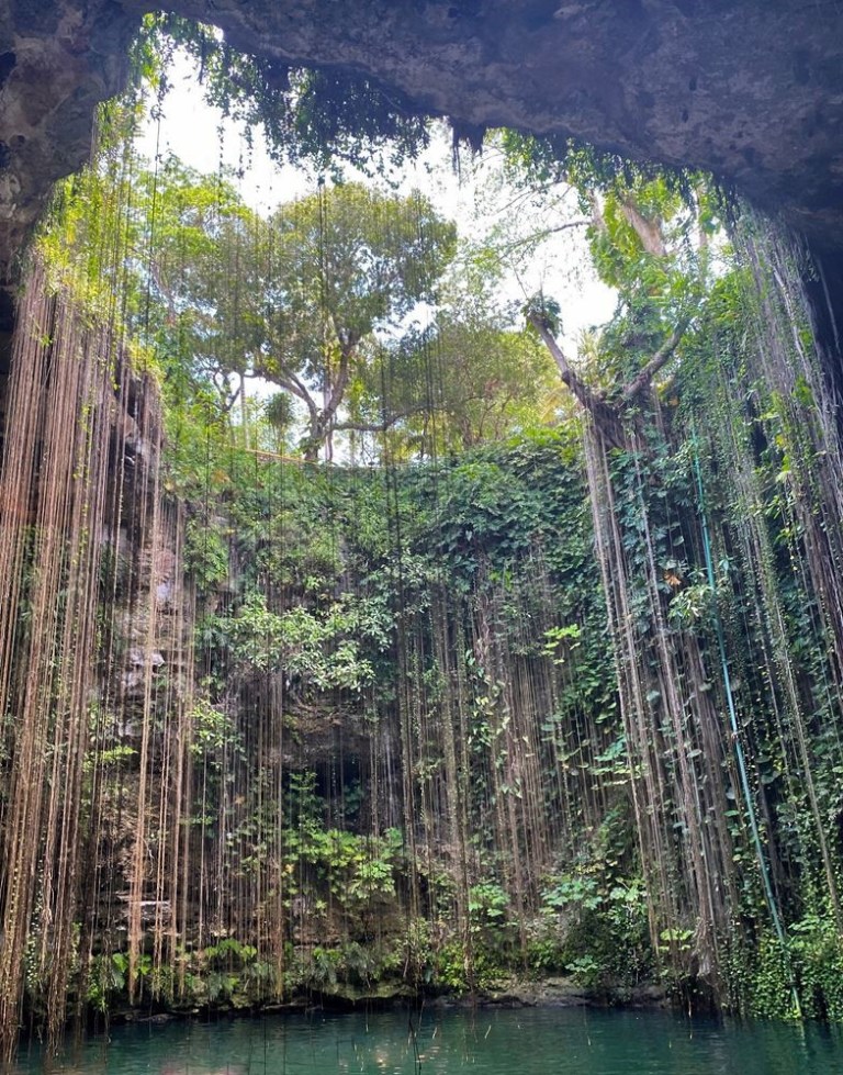 Le cénote Ik'kil et ses dizaines de lianes.