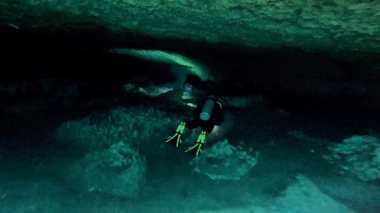 Plongée dans une grotte située sous la mangrove à Casa Cénote (ou cénote Manati)