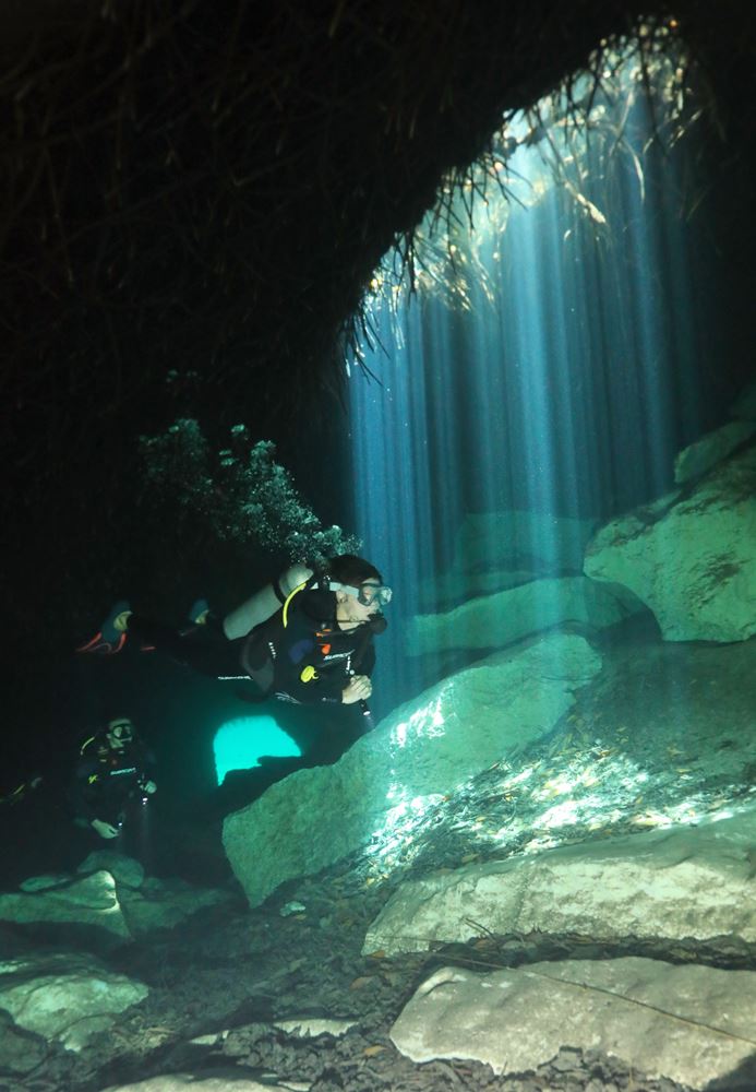 Plongée sous la mangrove à Casa Cénote (ou cénote Manati), dans les rayons du soleil qui transpercent la mangrove