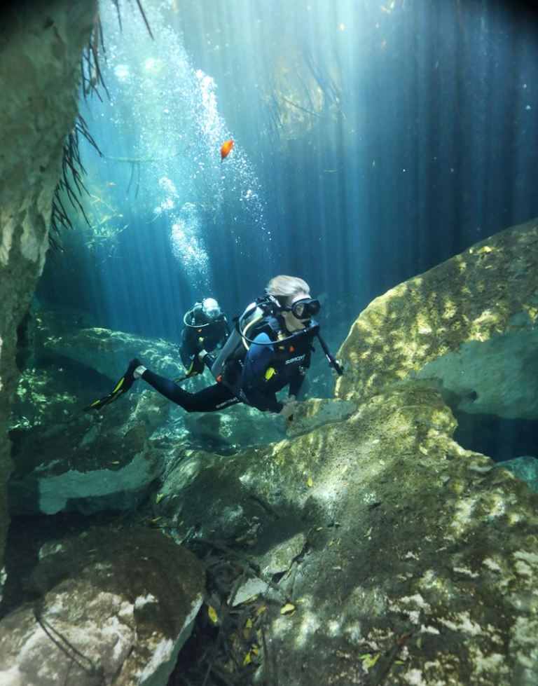Plongée dans les rayons du soleil qui transpercent la mangrove à Casa Cénote (ou cénote Manati)