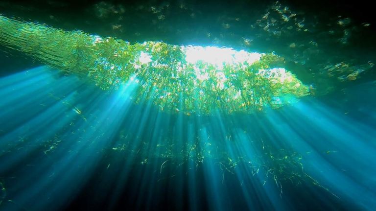 Les jeux de lumière au fond du cénote Ponderosa (jardin d'Eden) en plongée