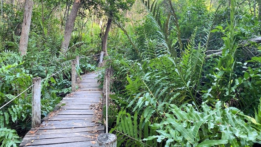 Le sentier Peten Mac permet d'accéder au cénote Peten Mac.