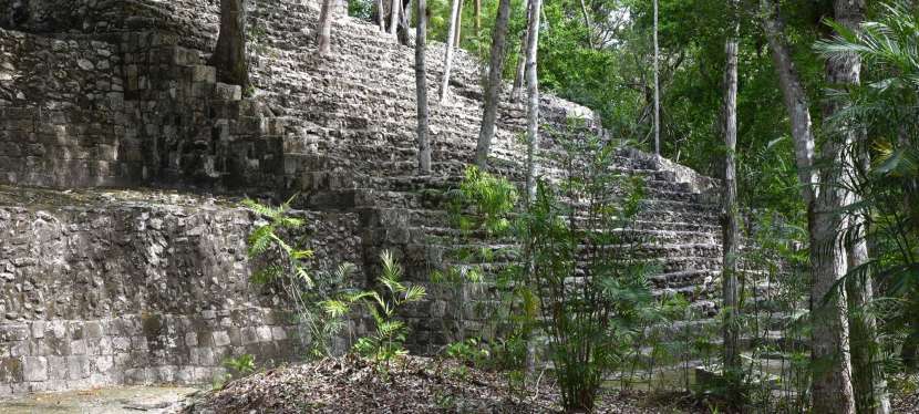 Calakmul : dormir dans la jungle et visiter la cité&nbsp;Maya