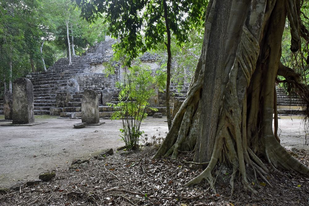 La structure I cernée par la végétation nature dans la cité maya de Calakmul