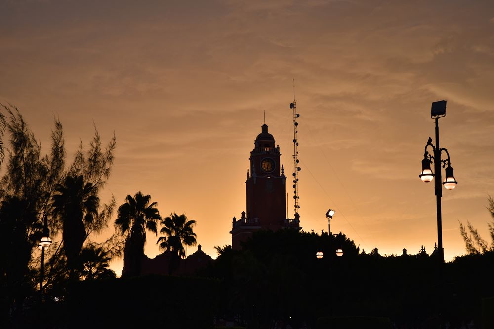 Mérida : la tour du palacio municipal vue depuis les jardins de la plaza grande (place centrale ou zocalo)