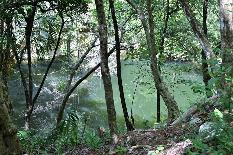 Le cénote Xtoloc à Chichen Itza, grâce auquel les Mayas pouvaient s'approvisionner en eau douce.