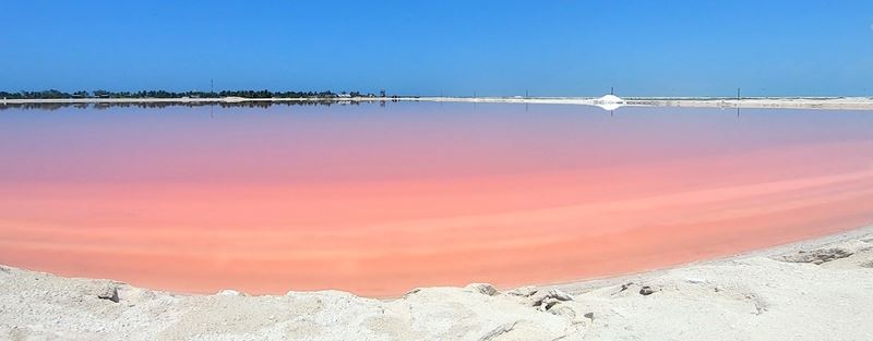 Un "lac rose", en réalité un bassin de rétention d'eau pour produire du sel, à Las Coloradas.