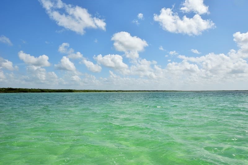 Traversée en bateau de la lagune de Muyil, à Chunyaxché, dans la réserve de Sian Ka'an