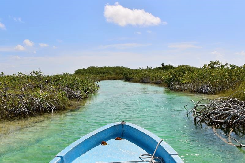 Traversée en bateau de la mangrove à la sortie de la lagune de Muyil, à Chunyaxché, dans la réserve de Sian Ka'an
