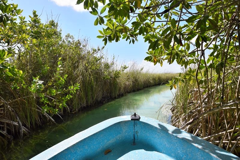 Traversée en bateau d'un canal maya à la sortie de la lagune de Muyil, à Chunyaxché, dans la réserve de Sian Ka'an