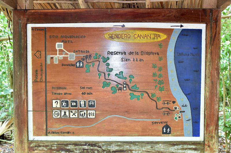 Le plan de l'excursion de Muyil, à l'entrée de la jungle, à proximité de Chunyaxché (dans la réserve de biosphère de Sian Ka'an)