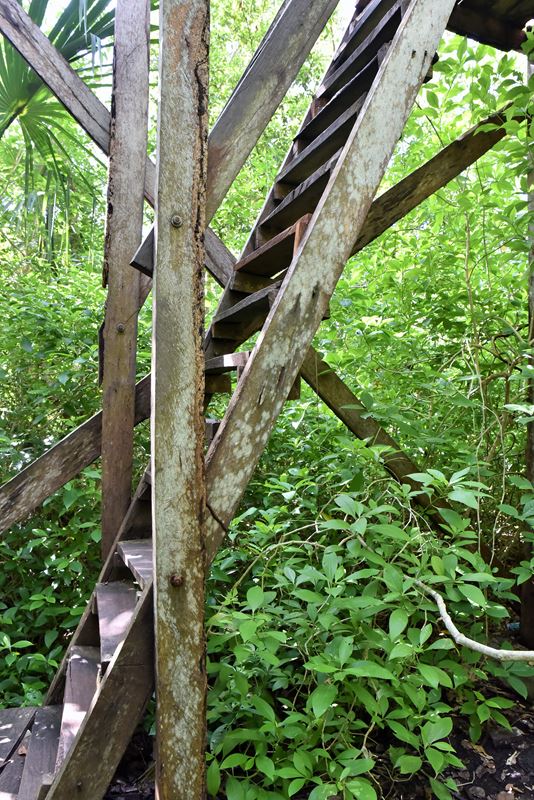 L'escalier abrupt de la tour d'observation qui domine la jungle de Muyil, à Chunyaxché (dans la réserve de biosphère de Sian Ka'an)