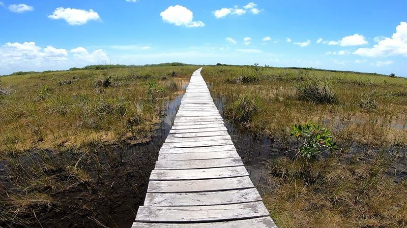 Retour au bateau à pied sur un ponton après la nage dans un canal maya à la sortie de la lagune de Muyil, à Chunyaxché, dans la réserve de Sian Ka'an