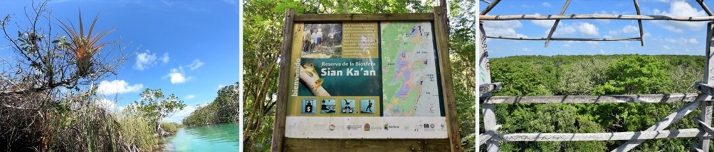 La réserve de Sian Ka'an, à la sortie de la lagune de Muyil : canal may, panneau explicatif, vue sur la canopée depuis le sommet d'une tour d'observation située dans la jungle de Muyil
