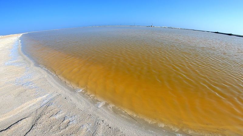 Marais salant dans la réserve de biosphère de Ria Lagartos