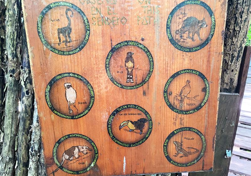 Un panneau indiquant les animaux de la jungle de Muyil, à Chunyaxché (dans la réserve de biosphère de Sian Ka'an)