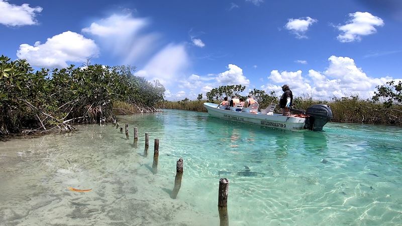 Retour en bateau après la nage dans un canal maya à la sortie de la lagune de Muyil, à Chunyaxché, dans la réserve de Sian Ka'an