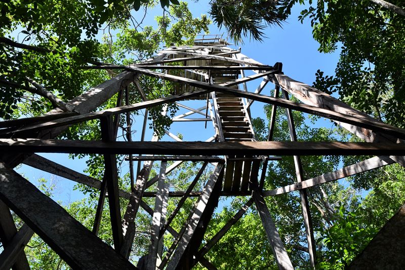 La tour d'observation qui domine la jungle de Muyil, à Chunyaxché (dans la réserve de biosphère de Sian Ka'an)