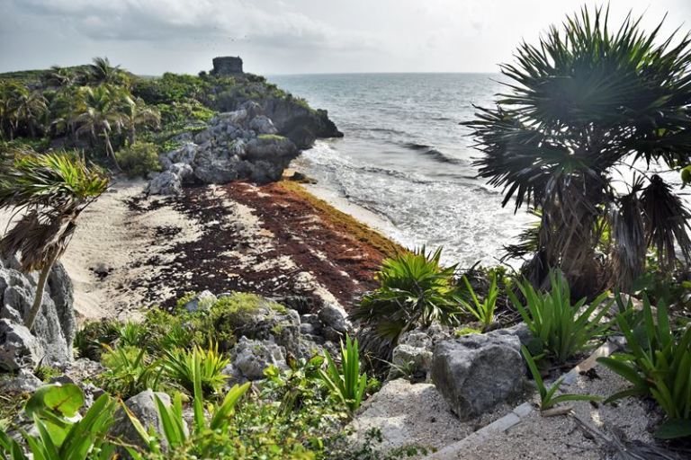 Vue du temple du dieu descendant qui surplombe la mer des Caraïbes dans le site Maya de Tulum