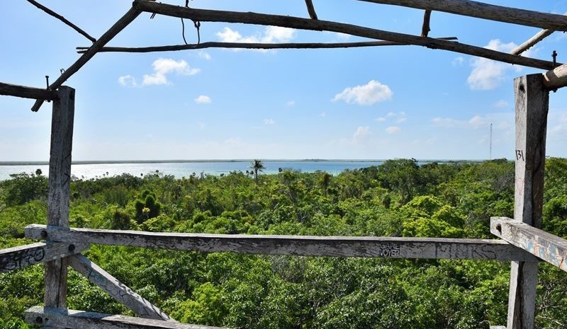 Le sommet de la tour d'observation qui domine la jungle de Muyil, à Chunyaxché (dans la réserve de biosphère de Sian Ka'an)