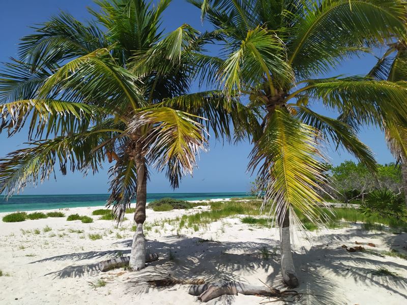 Cabo Catoche, sur l'île d'Holbox, est situé à l'extrémité nord de toute la péninsule du Yucatan