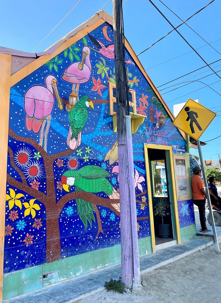 Le street-art est très présent dans les rues d'Holbox