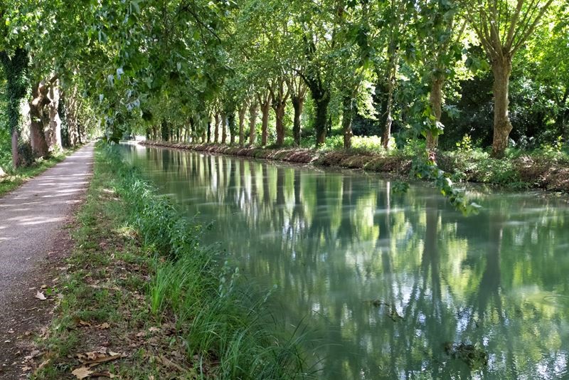 Le canal latéral à la Garonne, pris depuis la piste cyclable