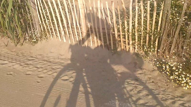 Ombre d'un cycliste le long des plages de Sète