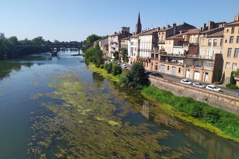 Montauban