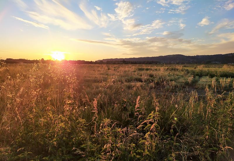 Coucher de soleil champêtre à Saint-Laurent (Lot-et-Garonne), à proximité de la piste cyclable du canal des Deux-Mers