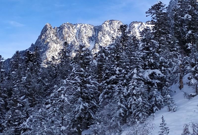 Les montagnes et la forêt enneigées aux alentours de Cauterets