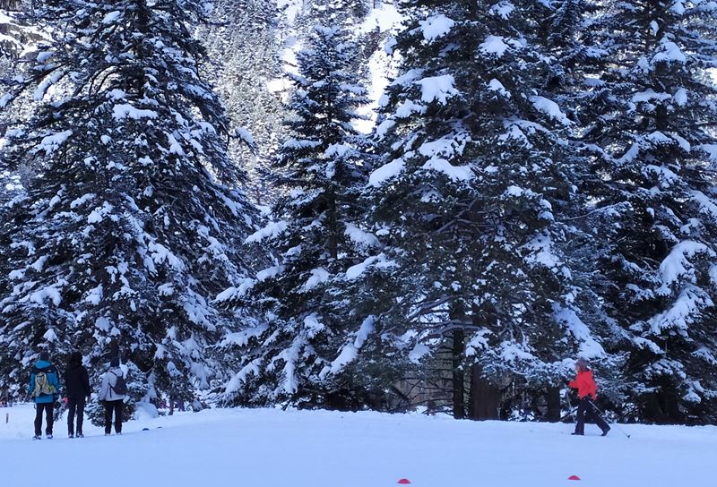 Biathlon pour les débutants à Cauterets, avec Élan Nordique