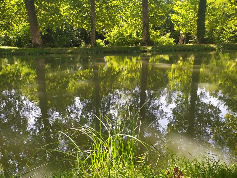 Le canal latéral à la Garonne, pris depuis la piste cyclable