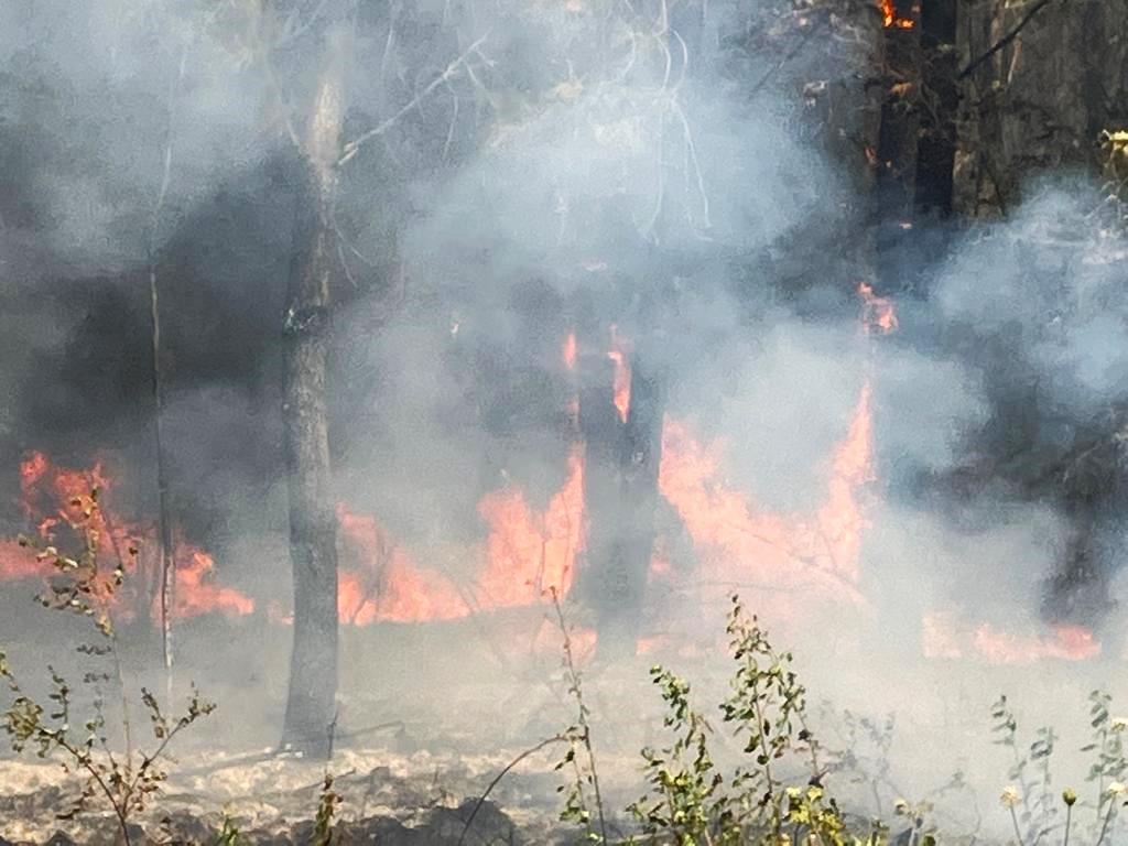 L'incendie de 2022 à Saumos ravage la forêt de pins (vu depuis un camion de pompiers)
