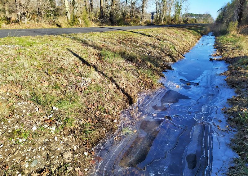 Glace dans un fossé le long de la piste cyclable de Lacanau, l'hiver