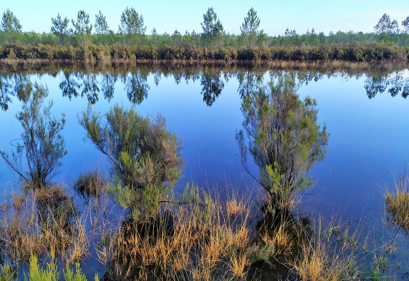 Une grande rétention d'eau ressemblant à un lac le long de la piste cyclable de Lacanau (Gironde), à la sortie de Lacanau