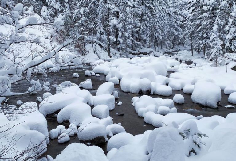 Randonnée en raquettes dans la forêt enneigée aux alentours de Cauterets