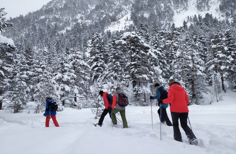 Randonnée en raquettes dans la forêt enneigée aux alentours de Cauterets