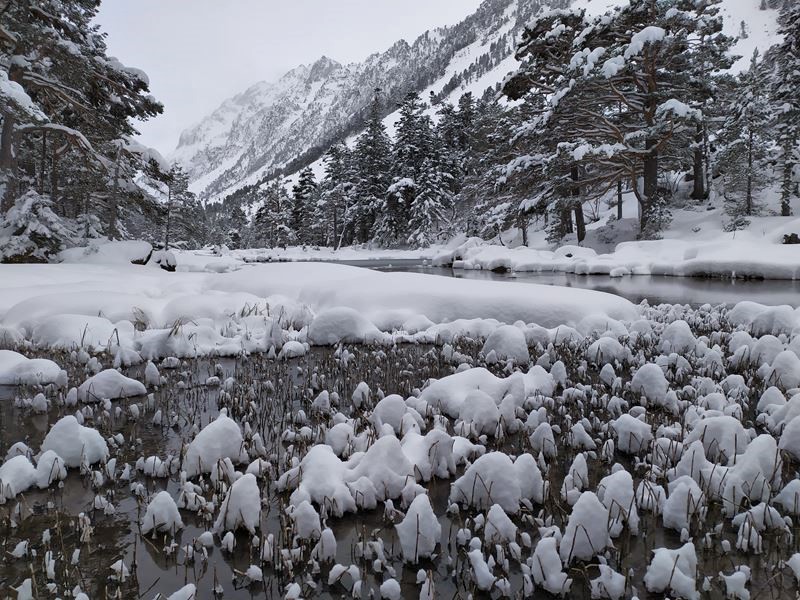 Randonnée en raquettes dans la forêt enneigée le long du gave de Gaube aux alentours de Cauterets