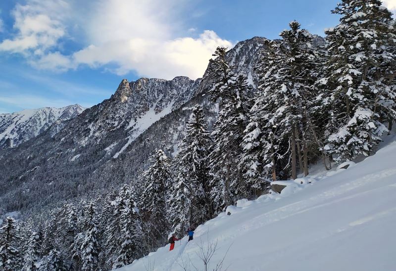 Ski de rando dans la forêt enneigée à Cauterets