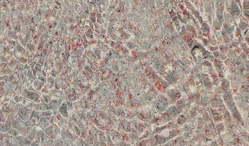 Détail du sable rose de la plage d'Elafonissi