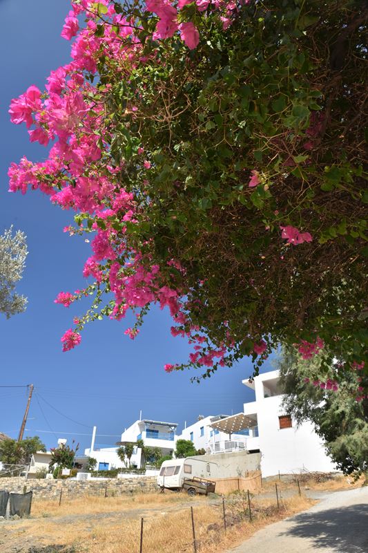 Une bougainvillée dans le petit village de Lendas 
