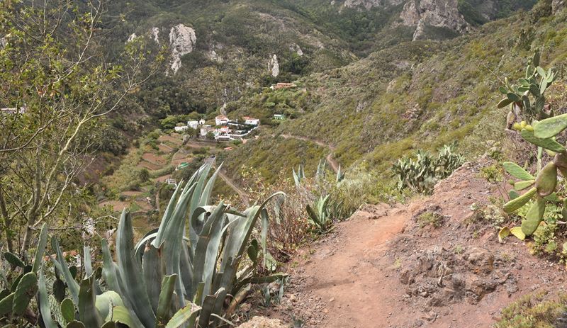 Le chemin de randonnée qui mène au minuscule village de Chamorga, dans le parc rural d'Anaga